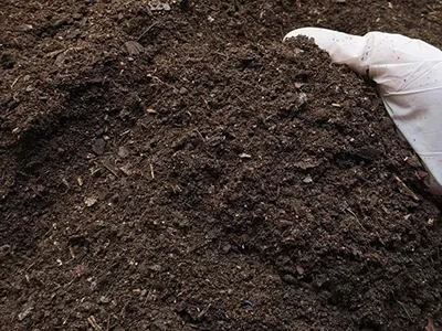 Organic / Soil-Based Products