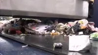 Overhead Magnetic Separator